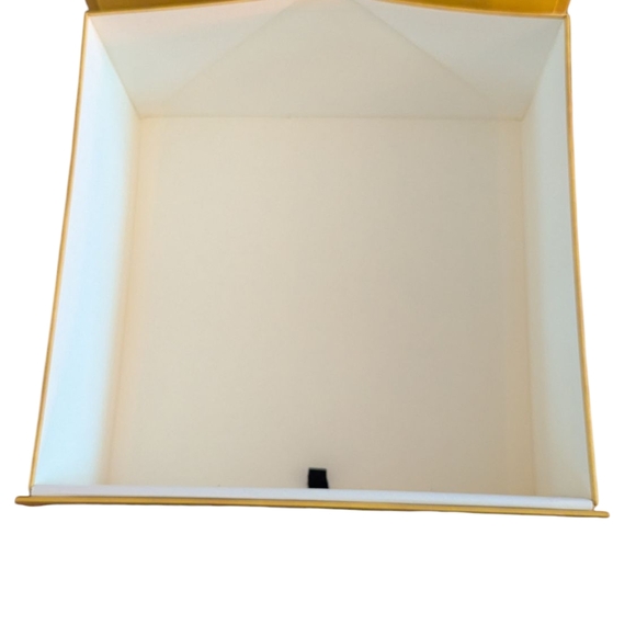 Fendi Box W\Dust Bag and Paper - Picture 4 of 6